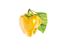 Click & Grow 4742793008950, Spiselig plante, Gul peberfrugt, Startsæt, 3 stk, Kasse