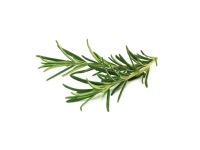 Click & Grow SGR51x3, Spiselig plante, Genopfyldning, Hurtig producent (3-5 uger), 14 - 21 dage, 18 - 30 °C, 3 stk
