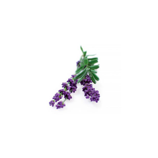 Click and Grow Smart Garden Refill 3 stk. Planter: Lavendel