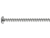 NKT universalskrue 5,0x30mm - TX20, panhoved, groft trægev. Spun+, elz. - 200stk