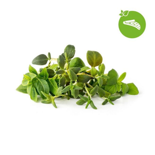 Click and Grow Smart Garden Refill 9-pack Italian Herbs Mix