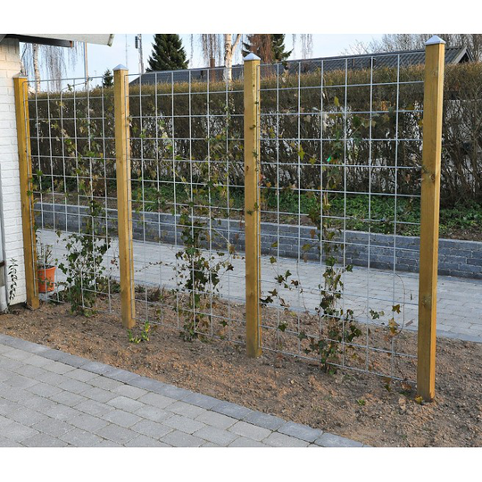 Espalier Rio Net Galvaniseret Ø5 Mm 90x120 - Maske 10x10 Cm Incl. Beslag T/montering