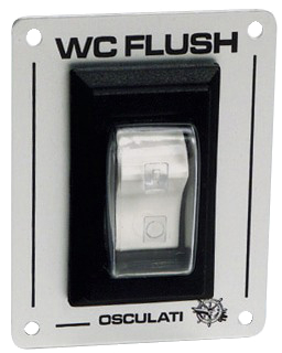 Toilet flush switch
