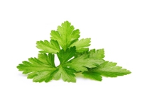 Click & Grow Cilantro/Coriander, Spiselig plante, Koriander, Genopfyldning, Hurtig producent (3-5 uger), 7 - 14 dage, 1 - 2 måned(er)
