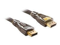 Delock - DisplayPort kabel - DisplayPort (han) til DisplayPort (han) - 2 m - antracit (sort)