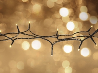 Light chain, 1.5m, 20 LED, battery, outdoor, ww