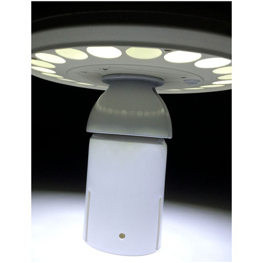 LED Lysknob