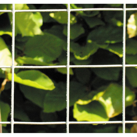 Havehegn Galv 10x10 Cm, 60 Cm X 10 M
