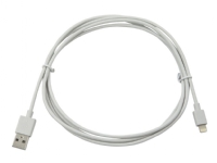 Compulocks Apple Lightning Charging Cable 6 Feet Long - USB-kabel - USB (han) til Lightning (han) - 1.83 m - for Apple 12.9-inch iPad Pro iPad mini