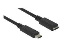 Delock - USB-forlængerkabel - USB-C (han) til USB-C (hun) - USB 3.1 Gen 1 - 3 A - 1 m - sort