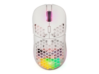 Fourze GM900 RGB - Mus - optisk - 6 knapper - trådløs/kabling - Bluetooth (2.4 GHz) - trådløs modtager (USB) - Hvid