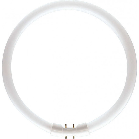 Philips TL5 cirkulær 22W-hvid 1 stk - 8711500640956