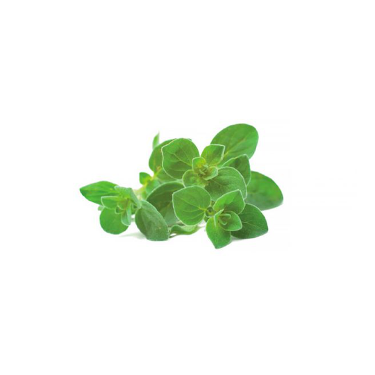 Click and Grow Smart Garden Refill 3 stk. Planter: Experimental