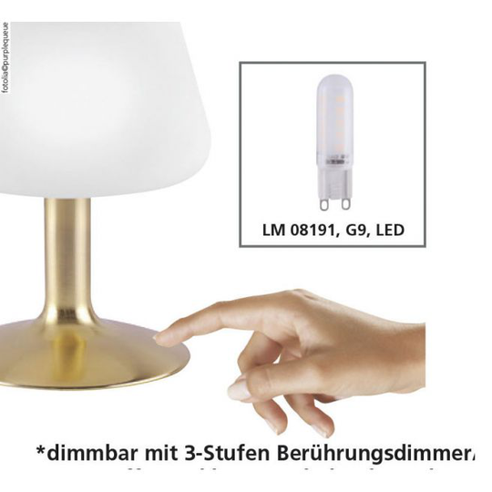 Paul Neuhaus - TILL Bordlampe - Messing mat