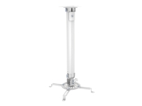 PureMounts PM-Spider-20W - Beslag - for projektor - stål - hvid - loftsmonterbar