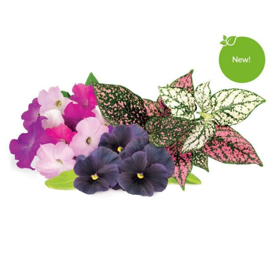 Click and Grow Smart Garden Refill 9-pack Vibrant Flower Mix