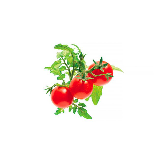 Click and Grow Smart Garden Refill 3 stk. Planter: Mini Tomato