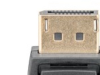goobay - DisplayPort kabel - DisplayPort (han) til DVI-D (han) - 1 m - tommelskruer