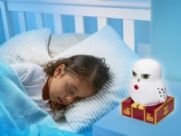Harry Potter Hedwig Natlampe og lygte Figur