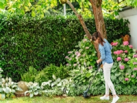 Bosch GRÆSTRIMMER EASY GRASS CUT 26CM