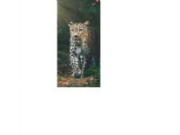Leopard Badehåndklæde - 100 procent bomuld