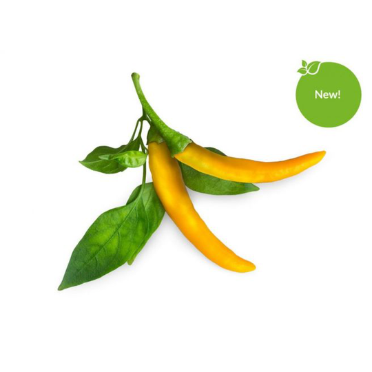 Click and Grow Smart Garden Refill 3 stk. Planter: Gul Chili Peber