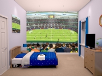 Fodbold Crazy tapet 243 x 305 cm