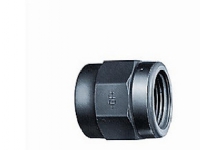 GPA Overgangsmuffe PVC 25 mm -3/4 indv. gevind Rp