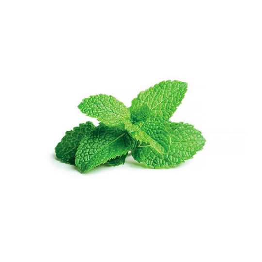 Click and Grow Smart Garden Refill 3 stk. Planter: Pebermynte