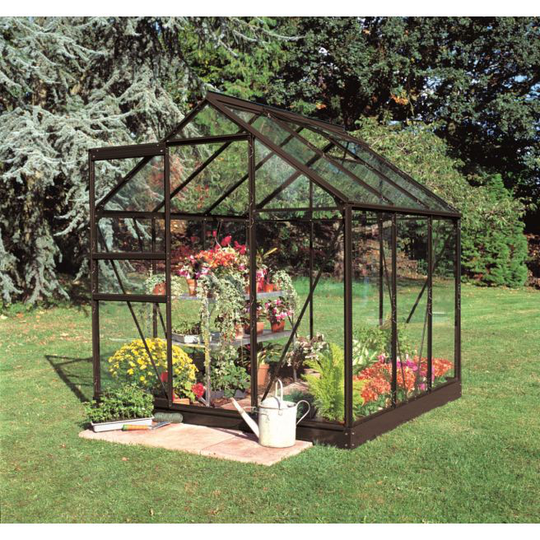 Halls Drivhus Popular 66 sort m/3 mm hærdet glas - F09940