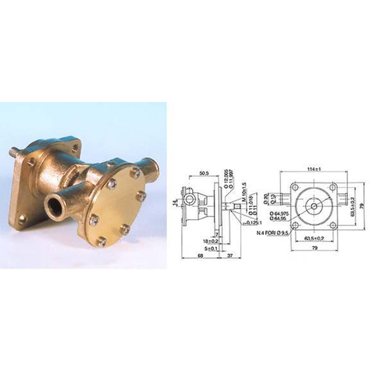 Ancor Impellerpumpe med flange til Kølevand, Motortype ST123