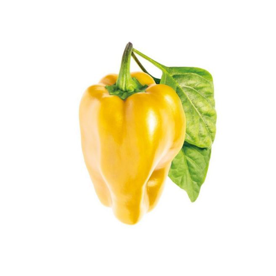 Click and Grow Smart Garden Refill 3 stk. Planter: Gule søde peberfrugter