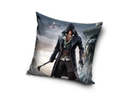 Assassins Creed Pude