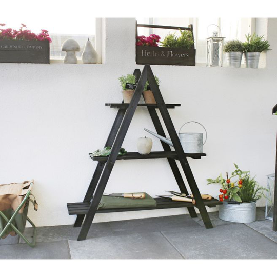 Gardenlife Plante Hylde Sort