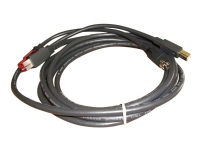 Epson - Forstærket USB kabel - USB PlusPower (24 V) (han) til USB Type B, Power mini-DIN (han) - 3 m - sort