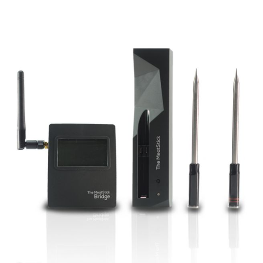 MeatStick Bridge 2 probe - BR662 - Wifi