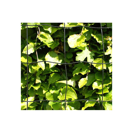 Havehegn Sort 10x10 Cm, 60 Cm X 25 M