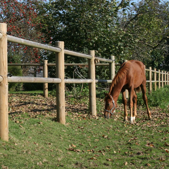 Hestehegn Ridebane 40 Meter