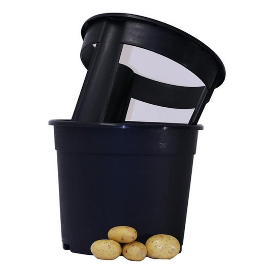 Garden Life Potato Pot Sort