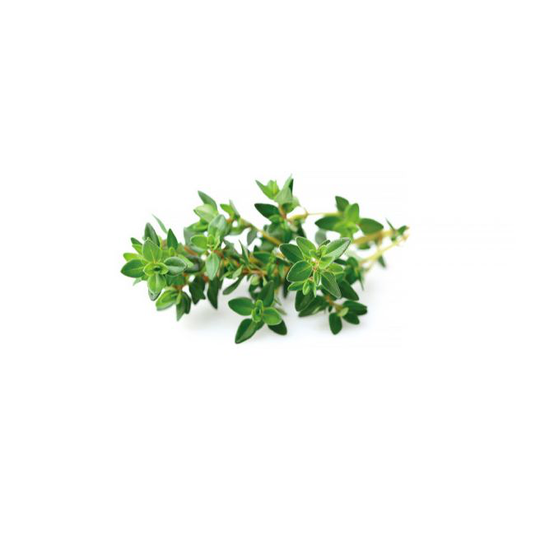 Click and Grow Smart Garden Refill 3 stk. Planter: Timian