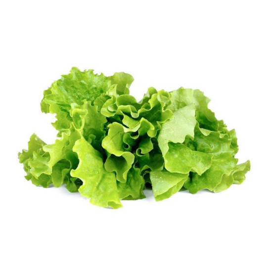 Click and Grow Smart Garden Refill 3 stk. Planter: Grøn salat