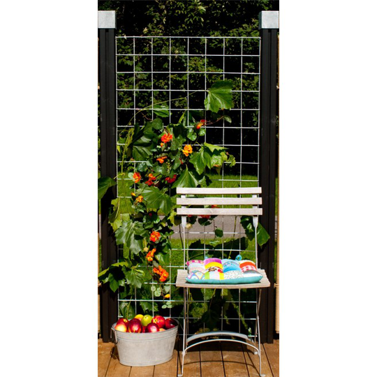 Plus Stål espalier 800x1700mm Ø5mm varmgalvaniseret 10x10cm