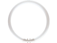 Philips MASTER TL5 Circular, 22,3 W, 2GX13, C-T5, 1800 lm, Varm hvid