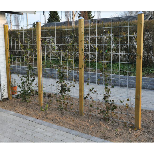Espalier Rio Net Galvaniseret Ø5 Mm 90x150 - Maske 10x10 Cm Incl. Beslag T/montering