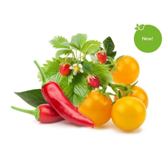 Click and Grow Smart Garden Refill 9-pack Fruit and Veggie Mix