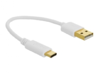 Delock - USB-kabel - USB (kun strøm) (han) til USB-C (kun strøm) (han) - 3 A - 15 cm - hvid