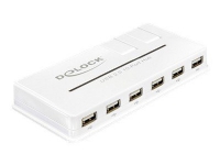 Delock USB 2.0 External HUB 10 Port - Hub - 10 x USB 2.0 - desktop