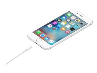 Apple - Lightning-kabel - Lightning han til USB han - 1 m - for iPad/iPhone/iPod (Lightning)
