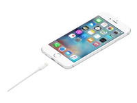 Apple - Lightning-kabel - Lightning han til USB han - 50 cm - for iPad/iPhone/iPod (Lightning)
